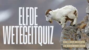 Affiche Wetegeitqiuz