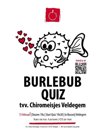 Affiche Burlebub Quiz_ tvv. chiromeisjes Veldegem
